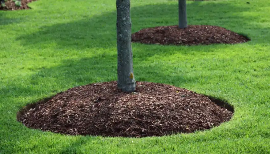 Mulch Supplies