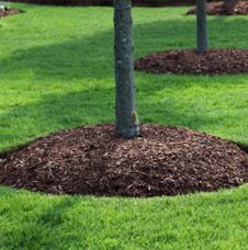 Mulch Supplies