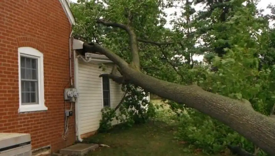 Storm Damage