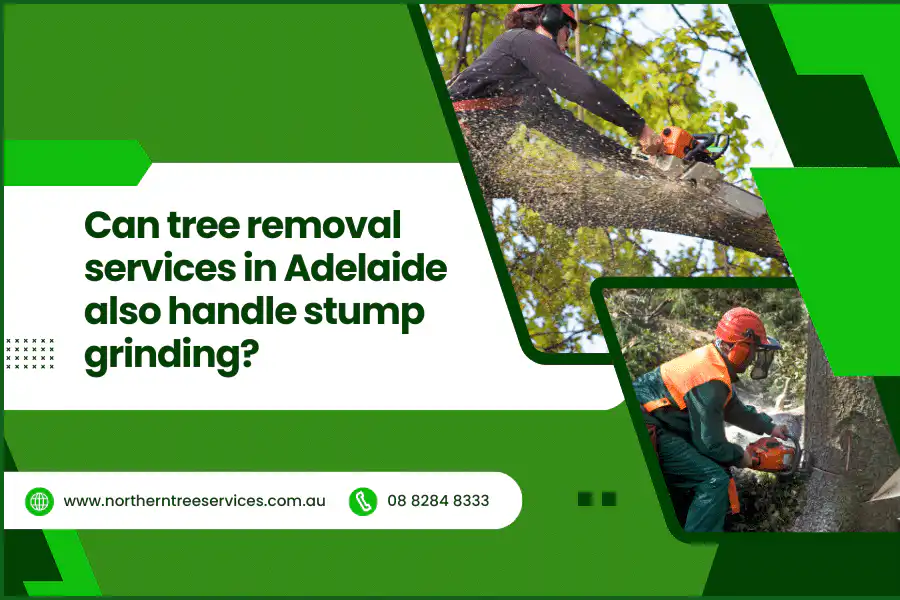 Can tree removal services in Adelaide also handle stump grinding