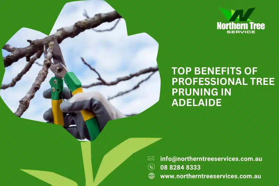 tree pruning adelaide